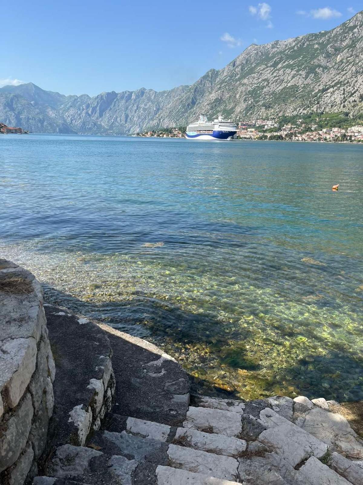 Asija Daire Kotor Dış mekan fotoğraf